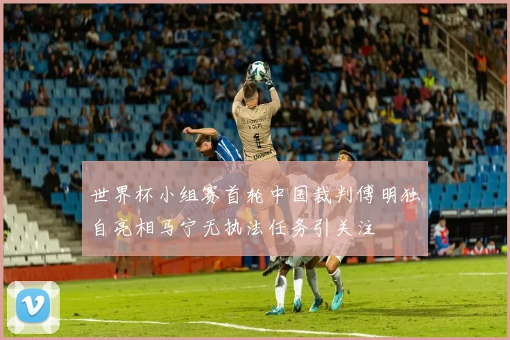 世界杯小组赛首轮中国裁判傅明独自亮相马宁无执法任务引关注