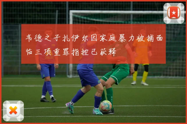 韦德之子扎伊尔因家庭暴力被捕面临三项重罪指控已获释