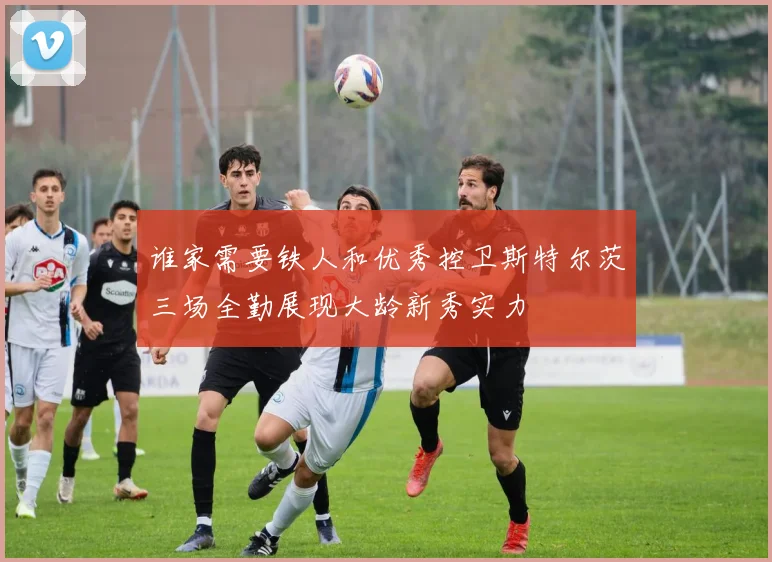 谁家需要铁人和优秀控卫斯特尔茨三场全勤展现大龄新秀实力